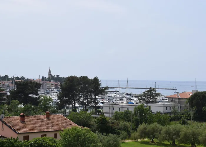 Grgic Novigrad Istria